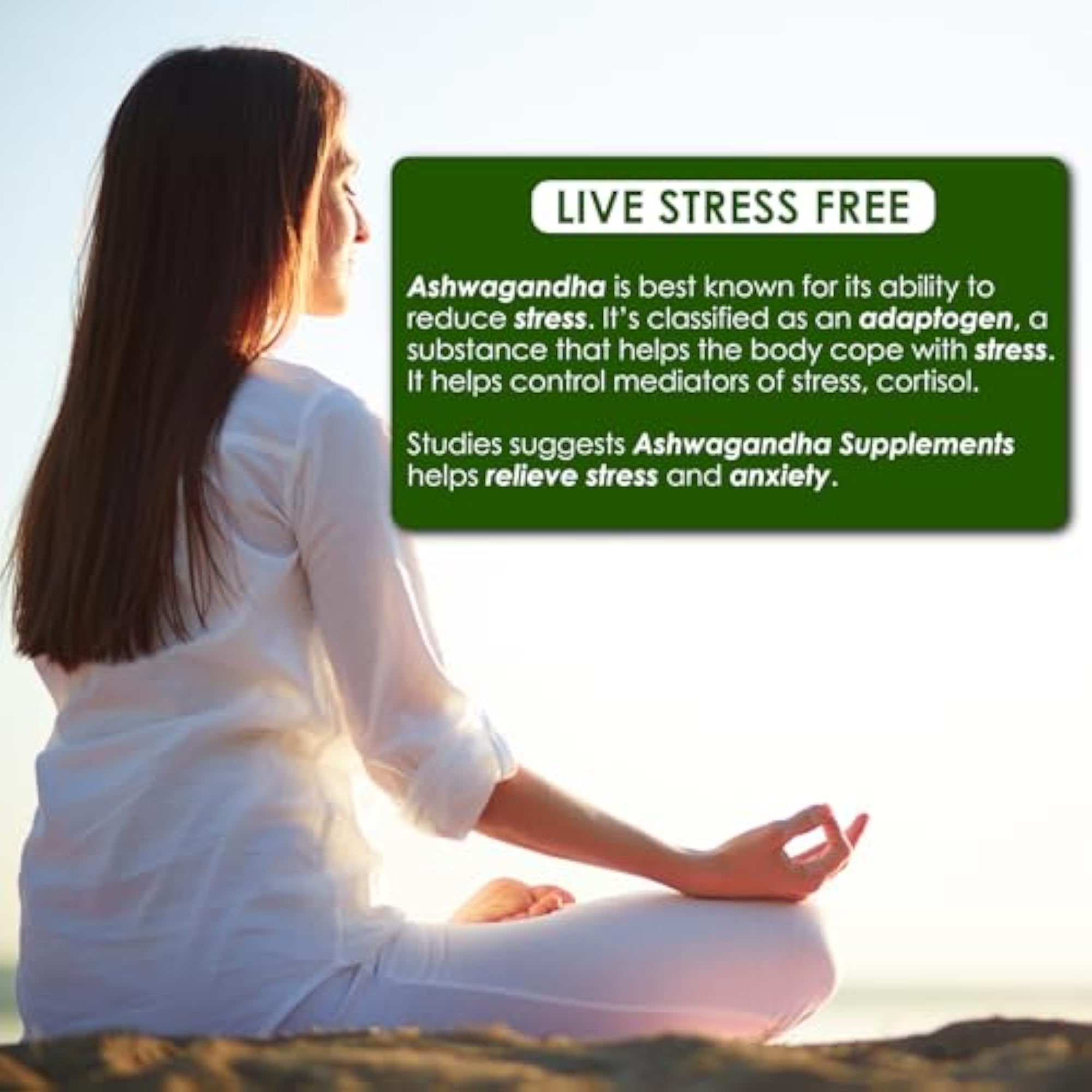 Ashwagandha Tablets for General Wellness and Immunity